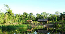 Tour Peru Amazon
