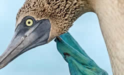 Best Galapagos Trips